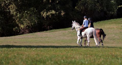 Twee ruiters op paarden genieten van een rit in het groen. Het weiland is uitgestrekt en omringd door bomen.