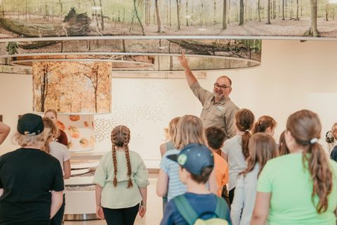 Führung mit dem Ranger in der Ausstellung "Wildnis(t)räume".
