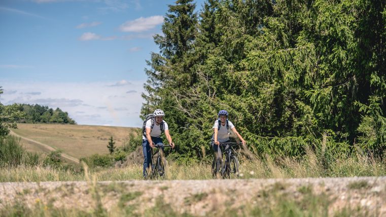 Zwei Radfahrer auf einem Weg in einer grünen Landschaft mit Bäumen und blauem Himmel.