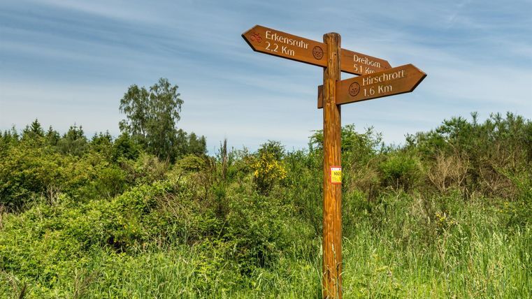 Ein Wegweiser steht in einer grünen Landschaft. Er zeigt die Richtungen und Entfernungen zu verschiedenen Zielen.
