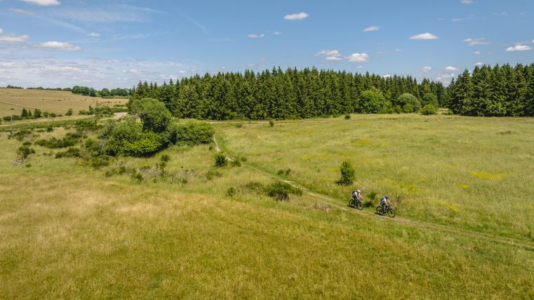 Eine weite Wiese mit grünem Gras und einigen Bäumen im Hintergrund. Zwei Personen fahren mit Fahrrädern auf einem Weg durch die Landschaft.