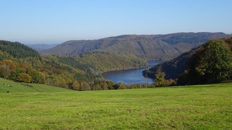 Eine grüne Wiese mit sanften Hügeln und einem ruhigen See im Hintergrund. Die Landschaft ist von Bäumen und Bergen umgeben.