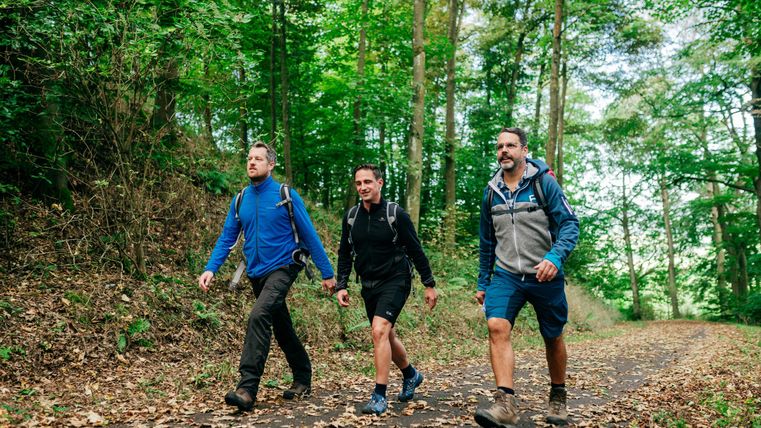 Drei Männer wandern auf einem Waldweg. Die Umgebung ist grün und mit vielen Bäumen gesäumt.