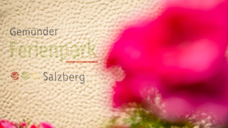 Ein unscharfes Bild mit pinken Blumen im Vordergrund und einer Wand im Hintergrund. Auf der Wand steht "Gemünder Ferienpark Salzberg".