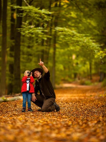 Ein Erwachsener zeigt auf etwas im Wald, während ein Kind ihm aufmerksam zuschaut. Die Umgebung ist von herbstlichen Farben und fallenem Laub geprägt.
