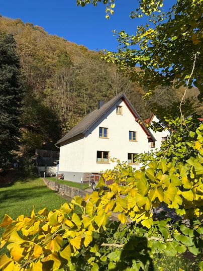 Ein weißes Haus umgeben von Bäumen im Herbst. Im Vordergrund sind gelbe Blätter sichtbar.