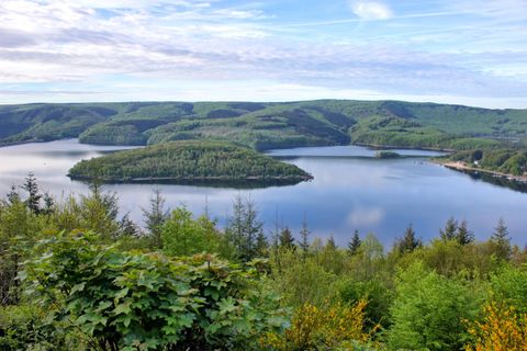 Ein malerischer See umgeben von grünen Hügeln und Bäumen. Der Himmel ist teilweise bewölkt und spiegelt eine ruhige Atmosphäre wider.