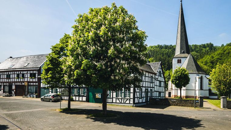 Un village pittoresque avec des maisons à colombages traditionnelles et un haut clocher. Au premier plan, se dresse un grand arbre fleuri.