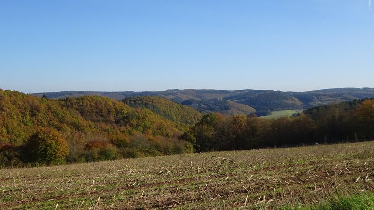 Eine weite Landschaft mit sanften Hügeln und buntem Herbstlaub. Der Himmel ist klar und blau.