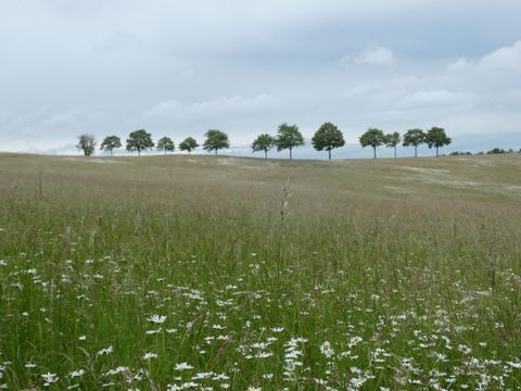 Ein historisches Gebäude mit Türmen und mehreren Fenstern steht am Ufer eines ruhigen Gewässers. Der Garten ist grün und lädt zur Erholung ein.