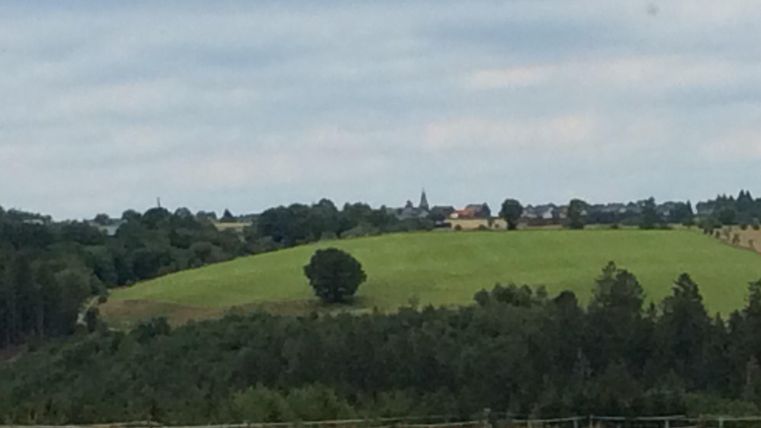 Eine grüne Hügellandschaft mit vereinzelten Bäumen und einem kleinen Dorf im Hintergrund. Der Himmel ist bewölkt und die Landschaft wirkt friedlich.