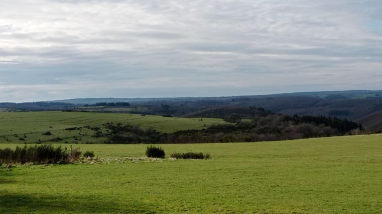 Eine weite Landschaft mit grünen Wiesen und sanften Hügeln unter einem bewölkten Himmel. Die Aussicht erstreckt sich bis zum Horizont.