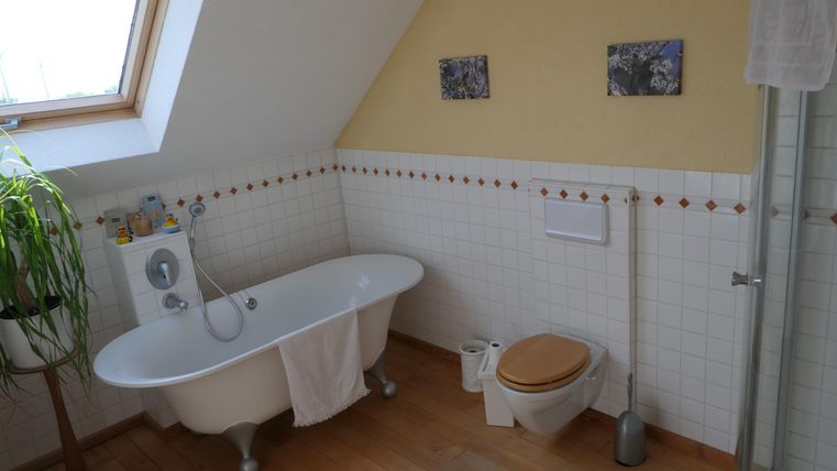 Ein helles Badezimmer mit einer freistehenden Badewanne und einer Dusche. Die Wände sind gefliest, und es gibt eine kleine Pflanze im Raum.