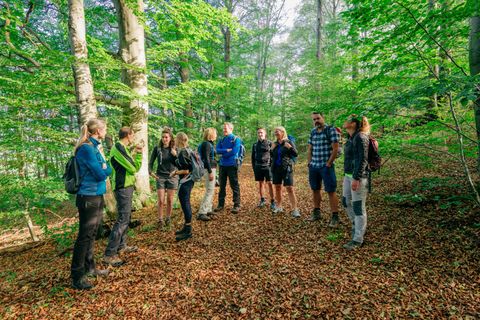 Eine Gruppe von Personen steht in einem Wald und unterhält sich. Der Boden ist mit Laub bedeckt und die Umgebung ist grünt und lebendig.