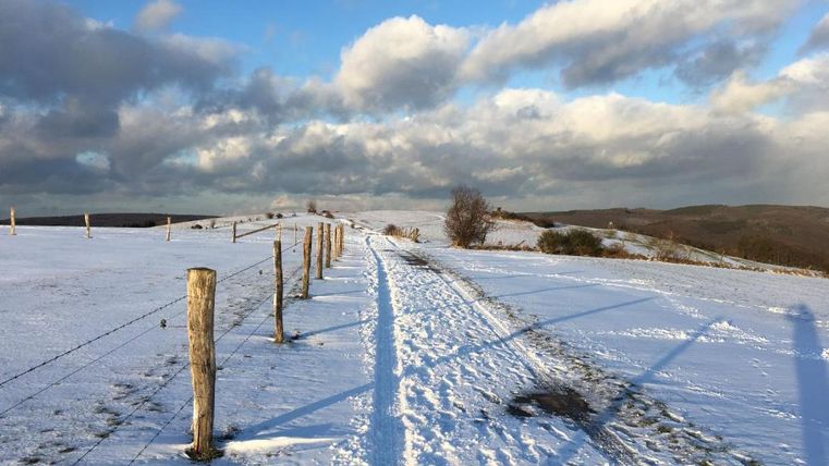 Eine verschneite Landschaft mit einem schmalen Weg und niedrigem Zaun. Der Himmel ist teilweise bewölkt und strahlt ein sanftes Licht aus.
