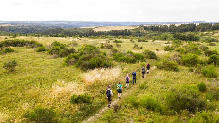 Eine Gruppe von Wanderern geht einen schmalen Pfad durch eine grüne Landschaft. Im Hintergrund erstrecken sich sanfte Hügel unter einem bewölkten Himmel.