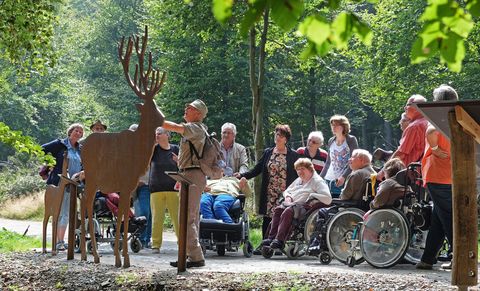 Eine Gruppe von Menschen, darunter Rollstuhlfahrer, steht in einem Wald. Ein Führer zeigt auf eine Metallfigur eines Rehs.