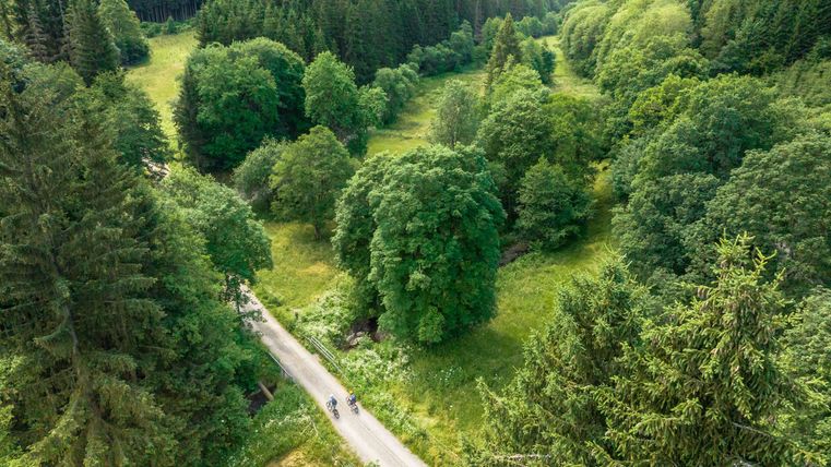 Eine malerische Landschaft mit einem Weg, der durch üppiges Grün führt. Umgeben von hohen Bäumen und sanften Hügeln strahlt die Gegend Ruhe und Schönheit aus.