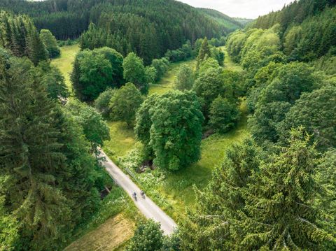Eine malerische Landschaft mit einem Weg, der durch üppiges Grün führt. Umgeben von hohen Bäumen und sanften Hügeln strahlt die Gegend Ruhe und Schönheit aus.