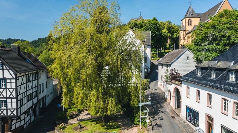 Häuser und Kirche in Schleiden