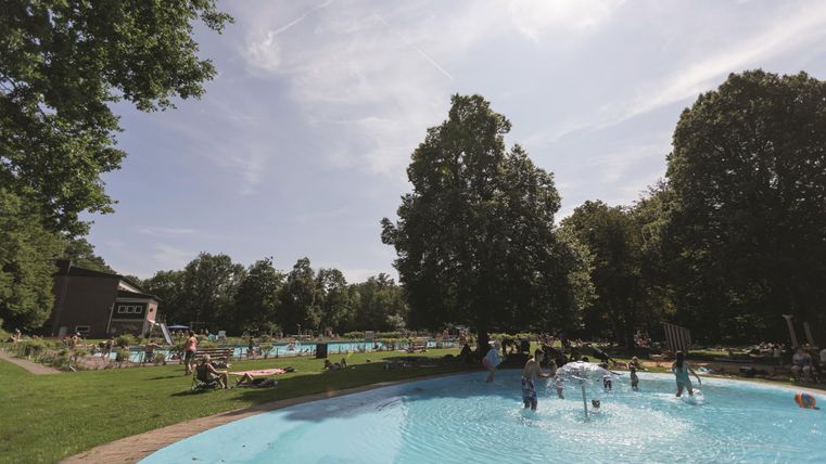 Een mooi zwemgebied met bomen en veel bezoekers. De lucht is helder en de zon schijnt.