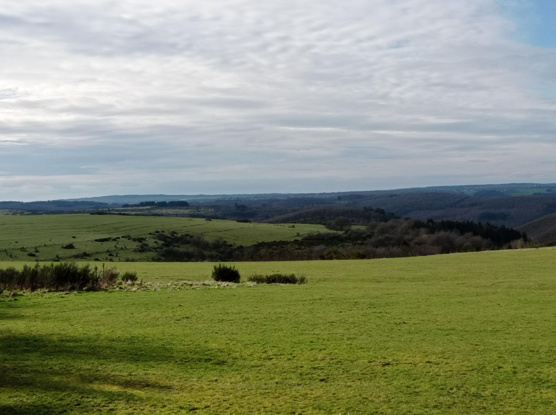 Eine weite Landschaft mit grünen Wiesen und sanften Hügeln unter einem bewölkten Himmel. Die Aussicht erstreckt sich bis zum Horizont.