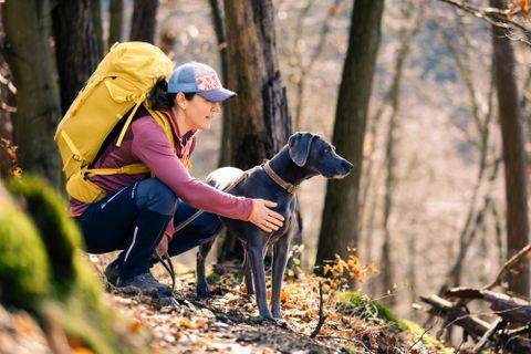 Notenschlüssel mit Noten