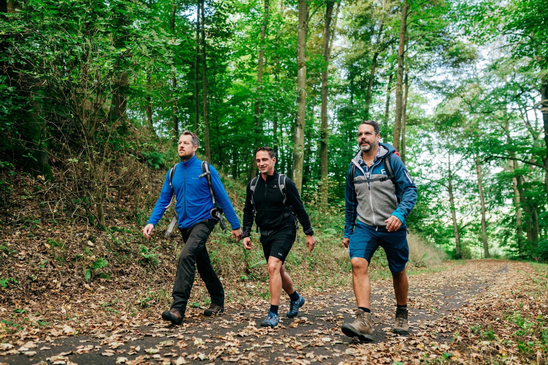 Drei Männer wandern auf einem Waldweg. Die Umgebung ist grün und mit vielen Bäumen gesäumt.