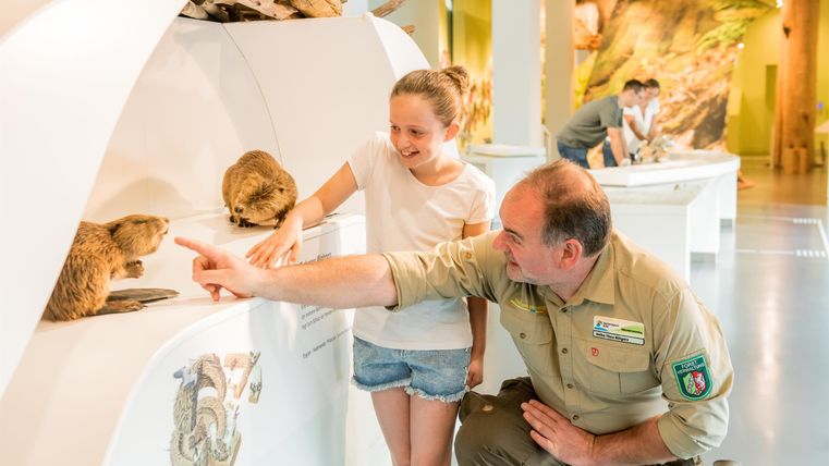 Ein Mann und ein Mädchen betrachten zusammen Tiere in einem Museum. Beide zeigen auf ein Tiermodell und sind interessiert.