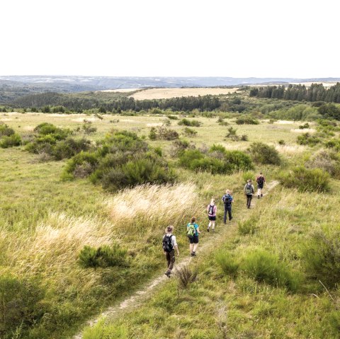 Dreiborner Hochfläche, © Nationalpark Eifel - D. Ketz