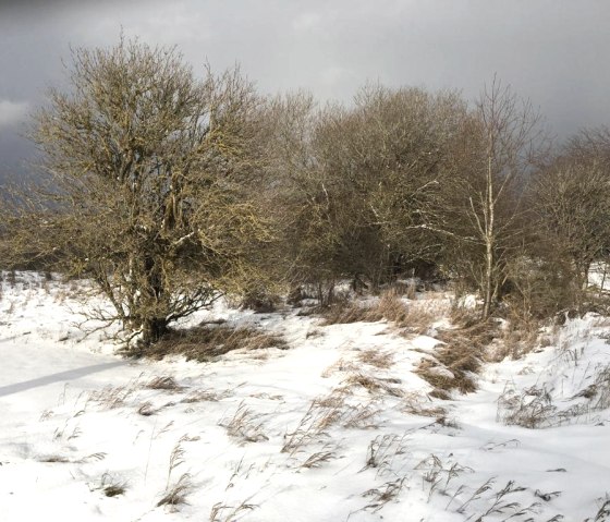 Wanderung ehemalige Panzerstra&szlig;e