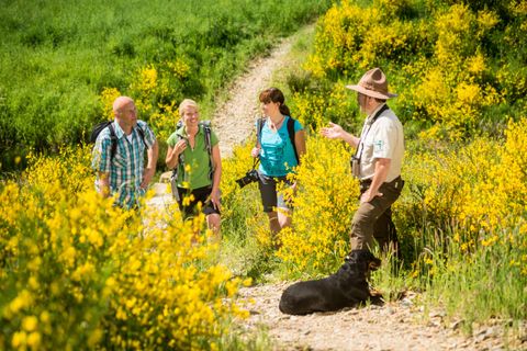 Eine Gruppe von vier Personen wandert durch eine blühende Landschaft mit gelben Blumen. Ein Führer erklärt etwas, während ein Hund entspannt in der Nähe sitzt.