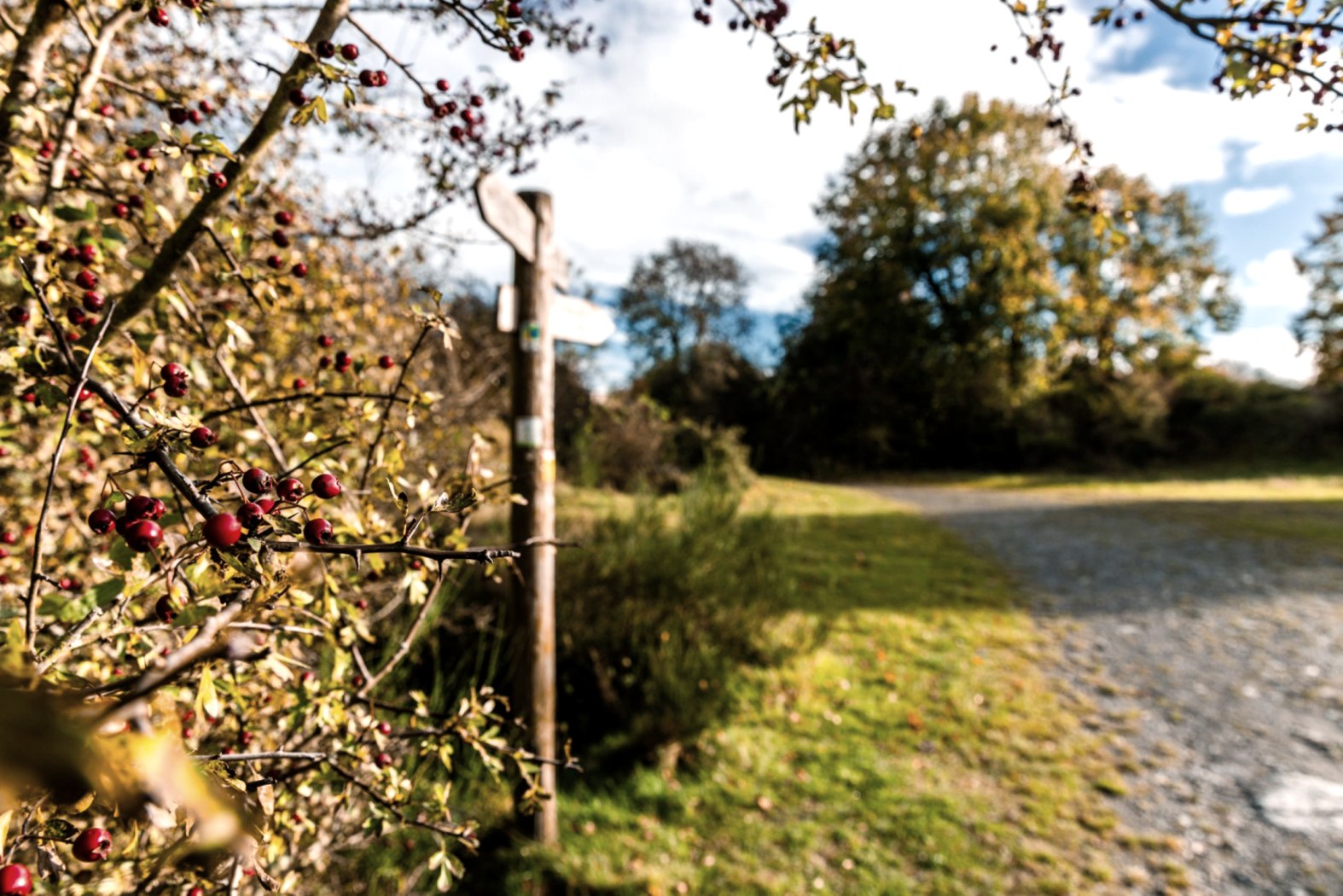 Herbst in Schleiden, &copy; GfW Schleiden