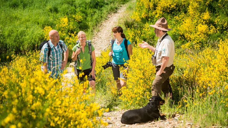 Eine Gruppe von Wanderern steht auf einem Weg, umgeben von gelben Blumen. Ein Guide erklärt etwas, während ein Hund neben ihm sitzt.