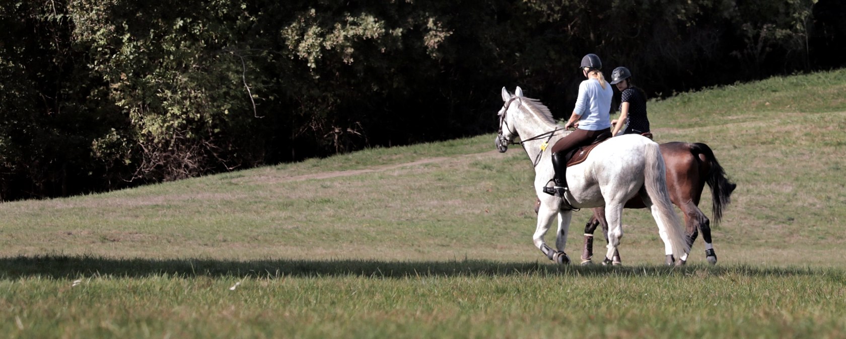 reiten, © Nordeifel Tourismus Gmbh
