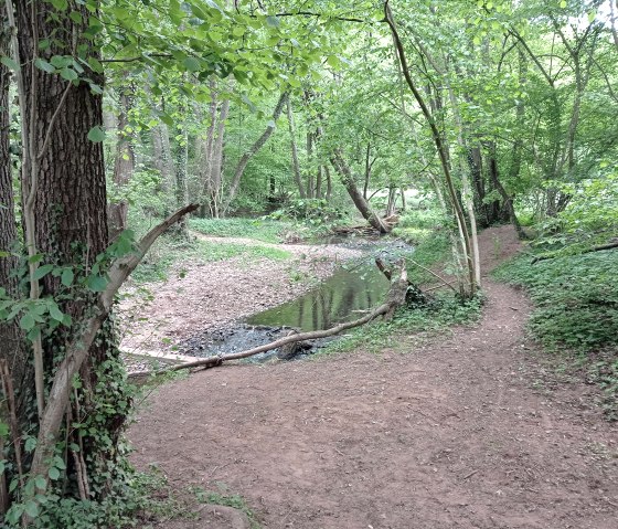 Mission Kraft Schöpfen, © Seelsorge in Nationalpark Eifel und Vogelsang