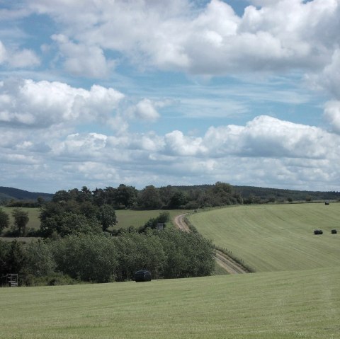 Begeleide wandeling, © Guido Hendle