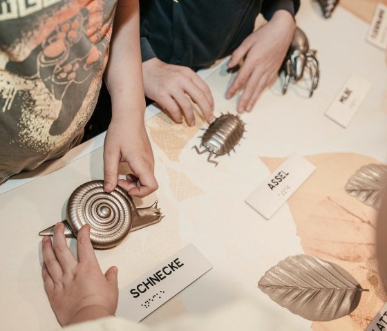 Tastmodelle Kleine Lebewesen