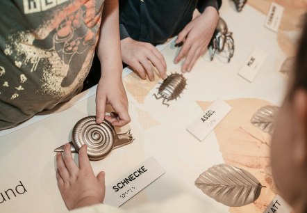 Tastmodelle Kleine Lebewesen