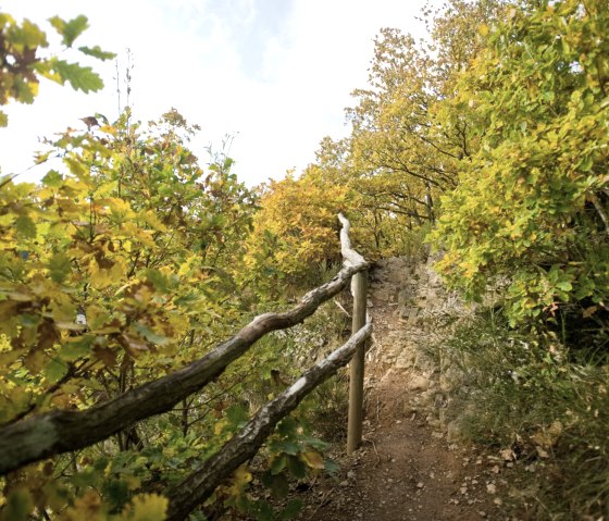 Sentier de randonnée Rur-Olef-Route jusqu'à la Kuckucksley, © Rheinland-Pfalz Tourismus GmbH/D. Ketz