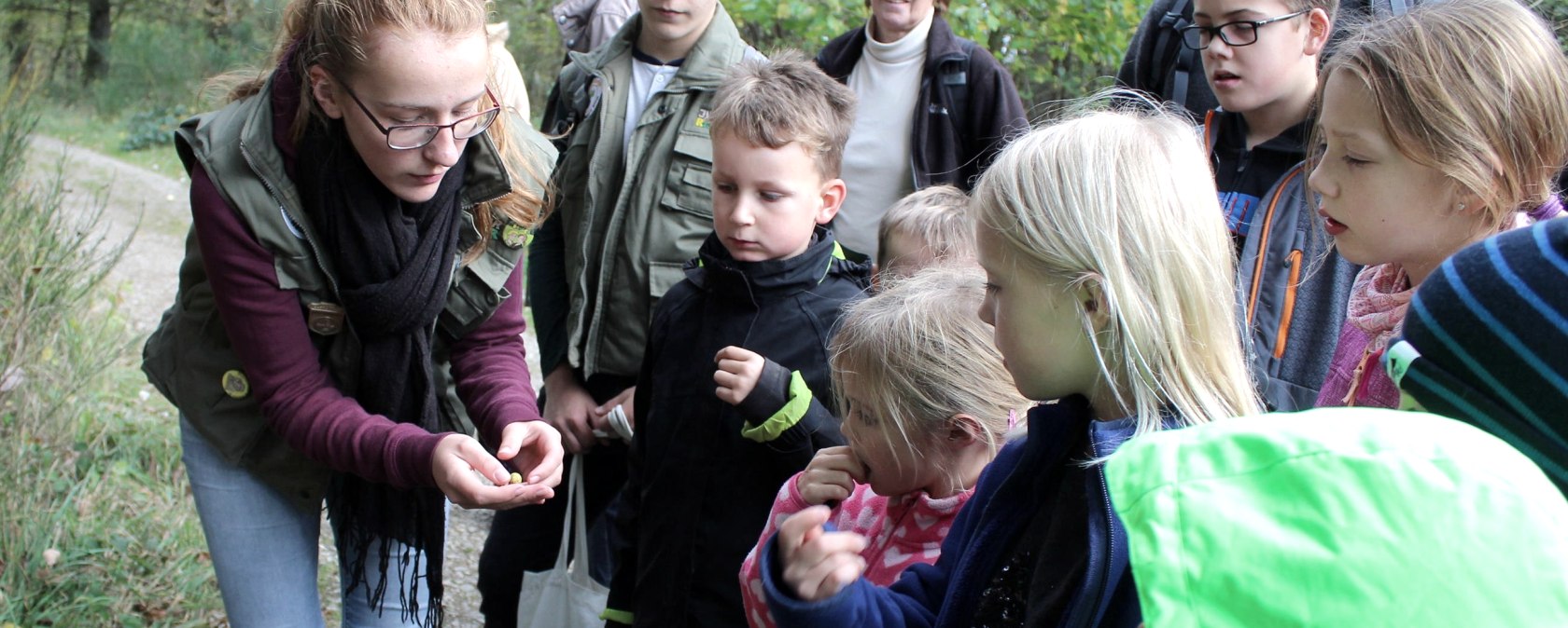 Junior Ranger Tour
