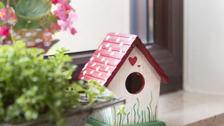 Ein kleines, bunt bemaltes Vogelhaus steht auf einer Fensterbank. Links sind grüne Pflanzen und pinke Blumen sichtbar.