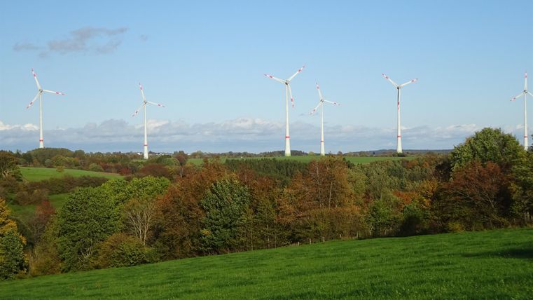 Eine Landschaft mit grünen Wiesen und bunten Bäumen. Im Hintergrund stehen mehrere Windturbinen vor einem blauen Himmel.