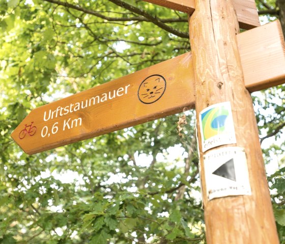 Passer devant le Wildnistrail sur le Eifelsteig, © Eifel Tourismus GmbH, D. Ketz
