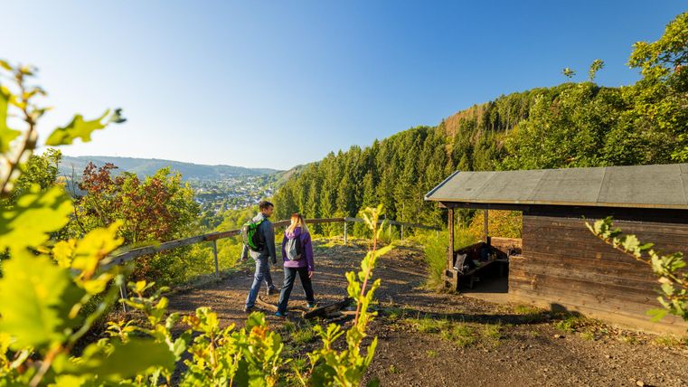 Eine Wanderung durch die Natur mit Blick auf die Stadt. Im Vordergrund sind zwei Personen zu sehen, die an einer Holzhütte vorbeigehen.