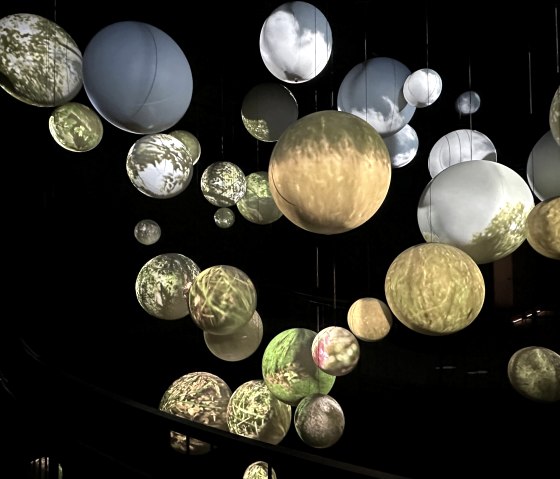 Wildnis(t)r&auml;ume