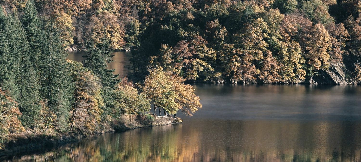 Herbstlicher Urftsee, © Frank Wiesen