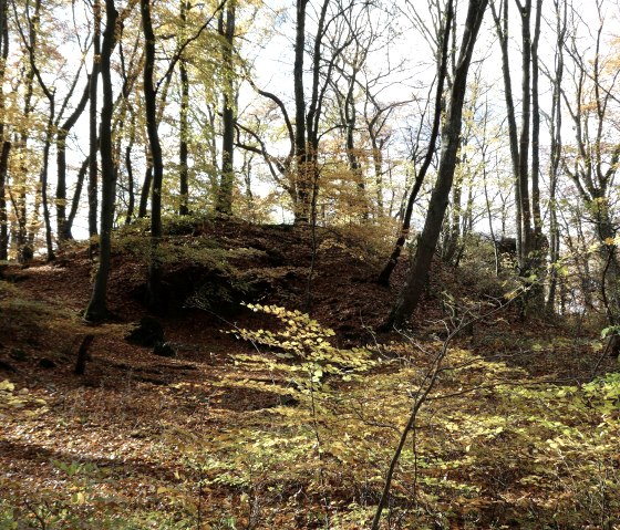 Wanderung, &copy; creativcommons