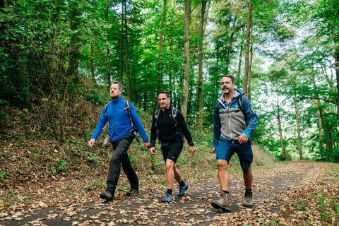 Drei Männer wandern auf einem Waldweg. Die Umgebung ist grün und mit vielen Bäumen gesäumt.