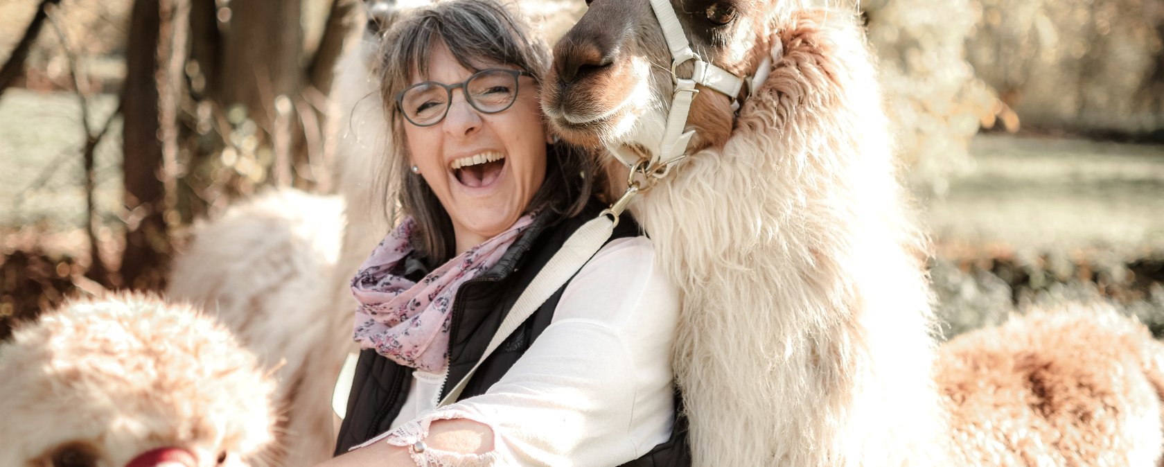 Lama, © julia Samans